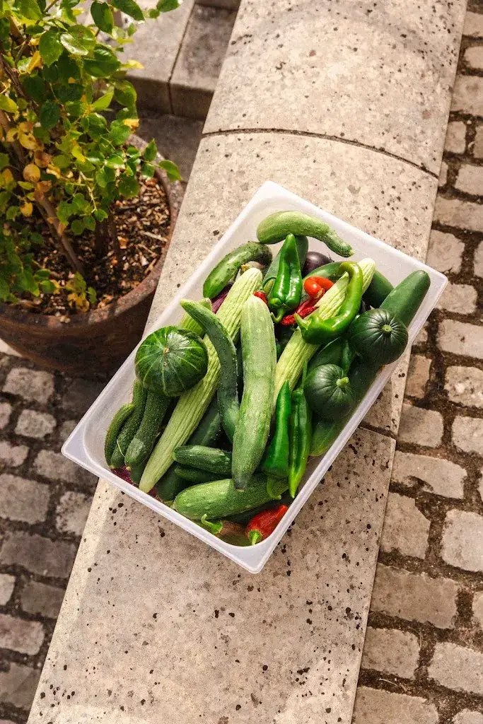 Le Chenin Restaurant_Savennières_slider_image_3