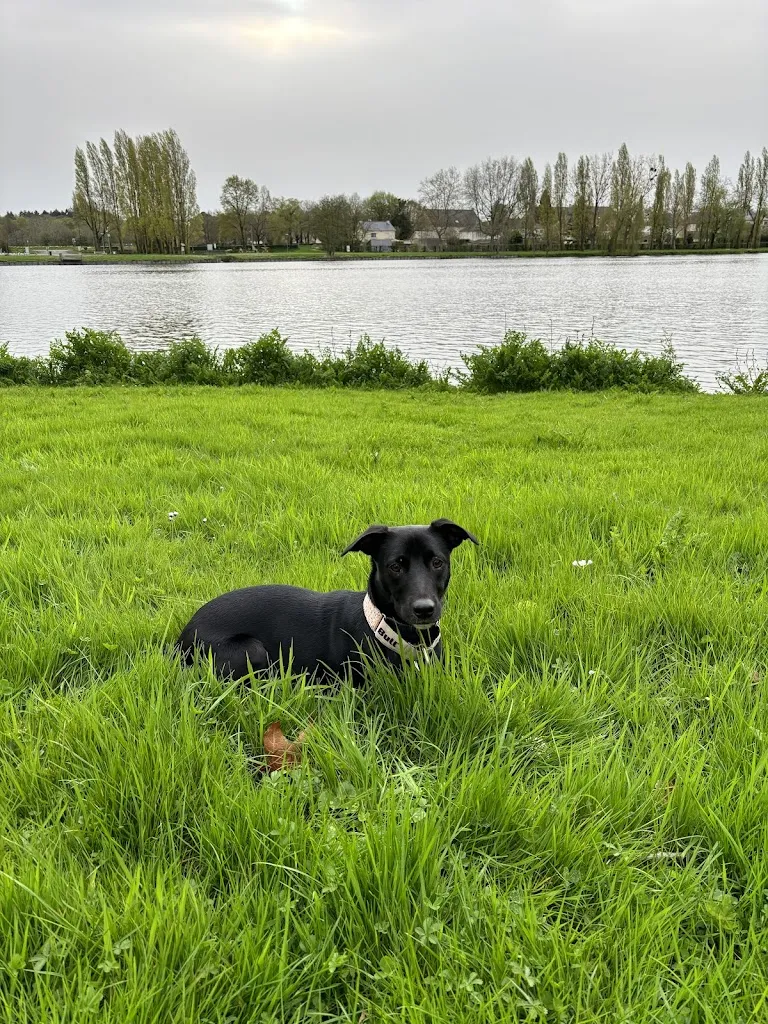 Jack Gompels_THE ENDLESS BURGER_Châteaubriant_review