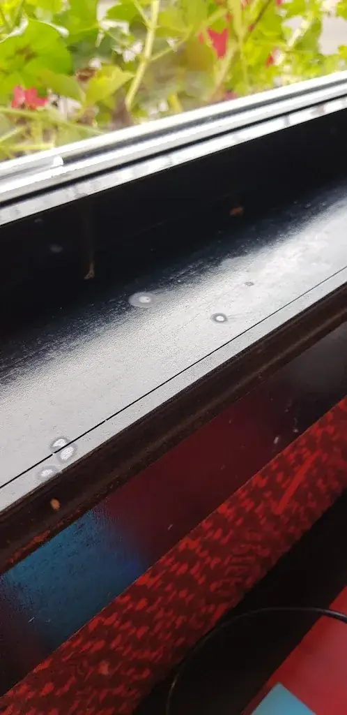 Adam_Buffalo Grill Châteaubriant_Châteaubriant_review