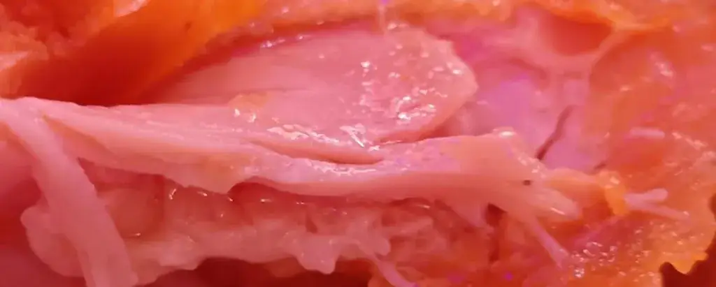 Adrian Mant_Palais de Chine_Chemillé-en-Anjou_review