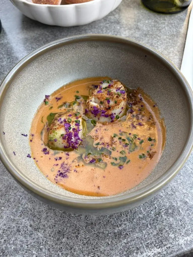 Manon PIOLI_Symbiose_Cholet_review