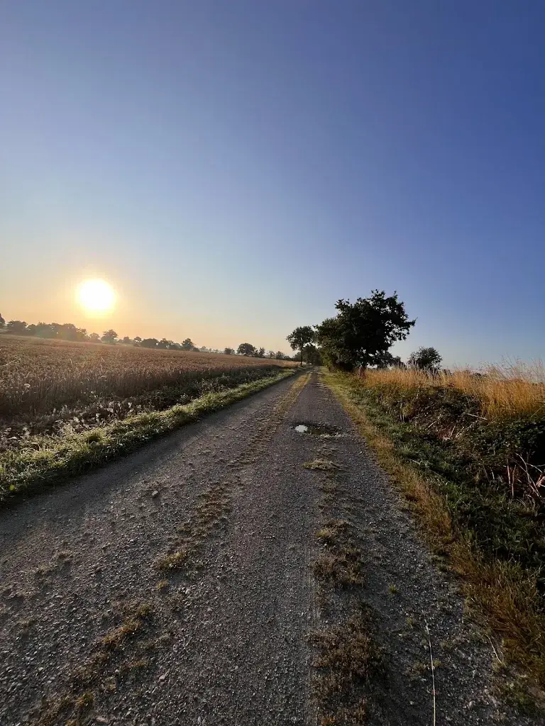 Katharina Stöcker_La Petite Conilliere_Congrier_review