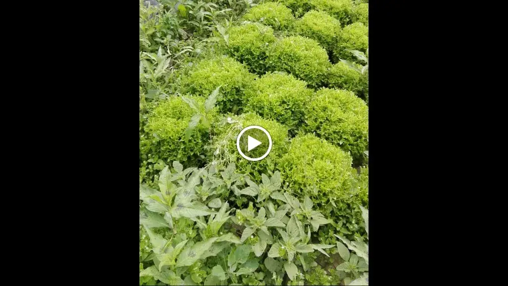 Olio e Burro_Clisson_slider_image_2