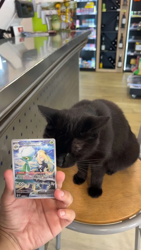 Nael Amg_Le Ligérien_Cordemais_avis