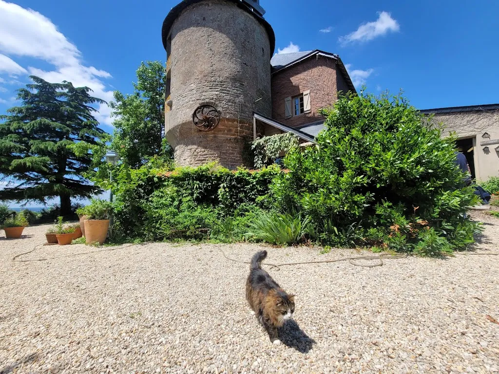 Crêperie Le Moulin de Chaugenets_Saint-Étienne-de-Montluc_slider_image_3