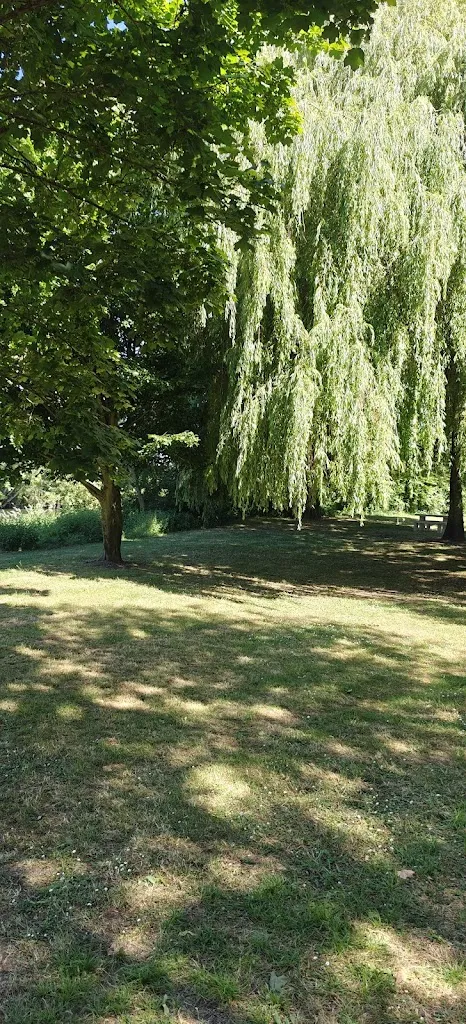 James Wilkinson_Guinguette du Père Chapuis_Seiches-sur-le-Loir_review