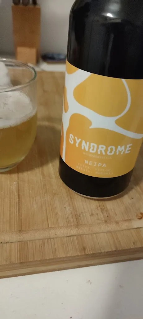 Thomas Menard_Brasserie Syndrome_Couëron_review