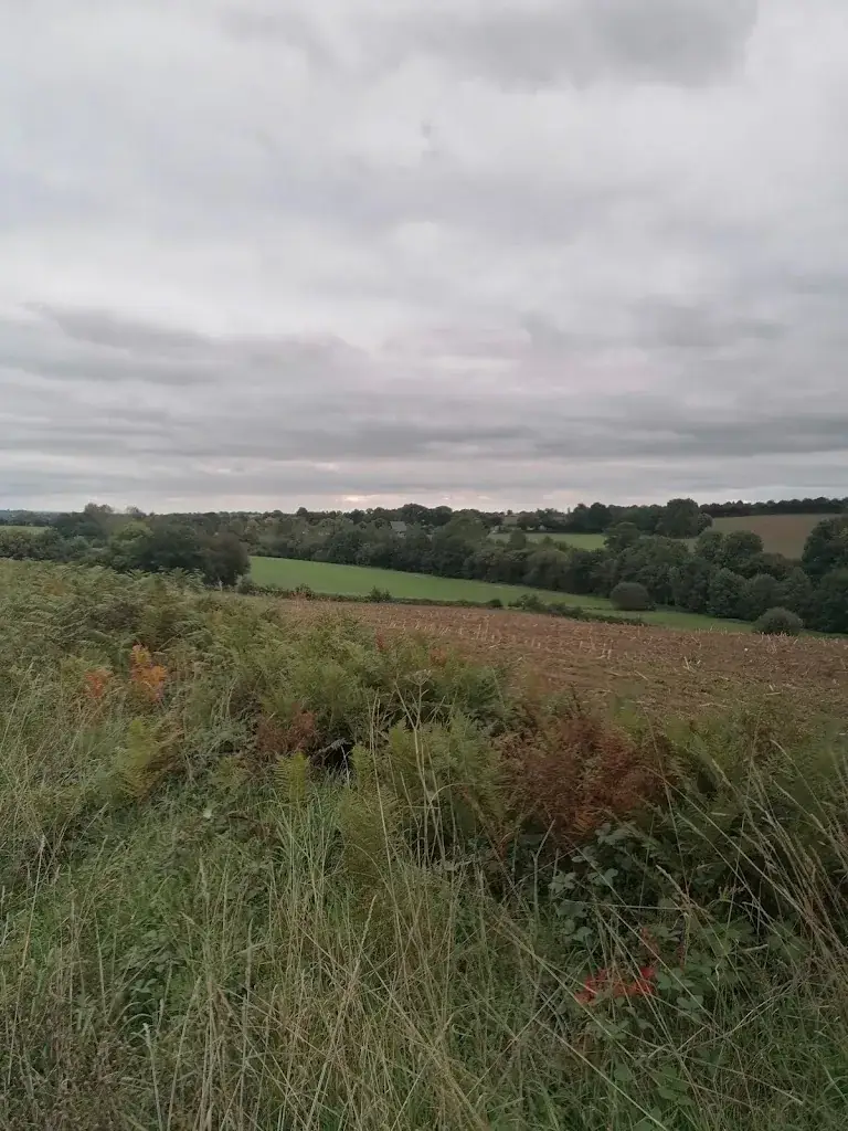 Courcité City Hall_Courcité_slider_image_3