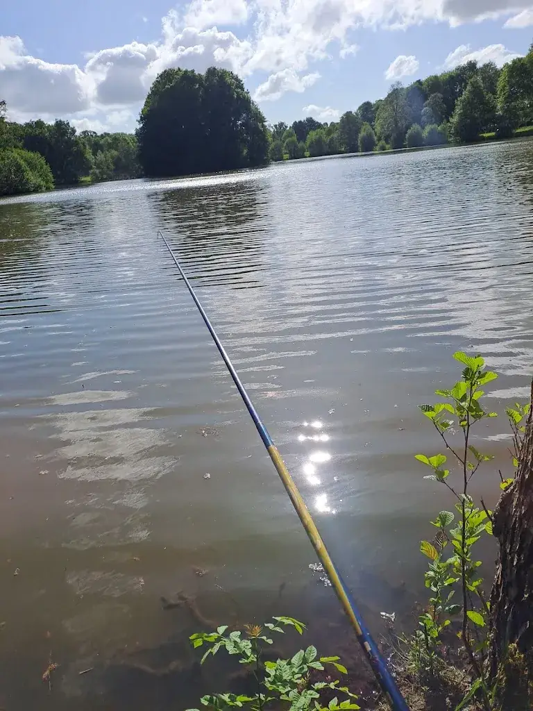 REZÉ Olivier_Le Mûrier_Craon_review