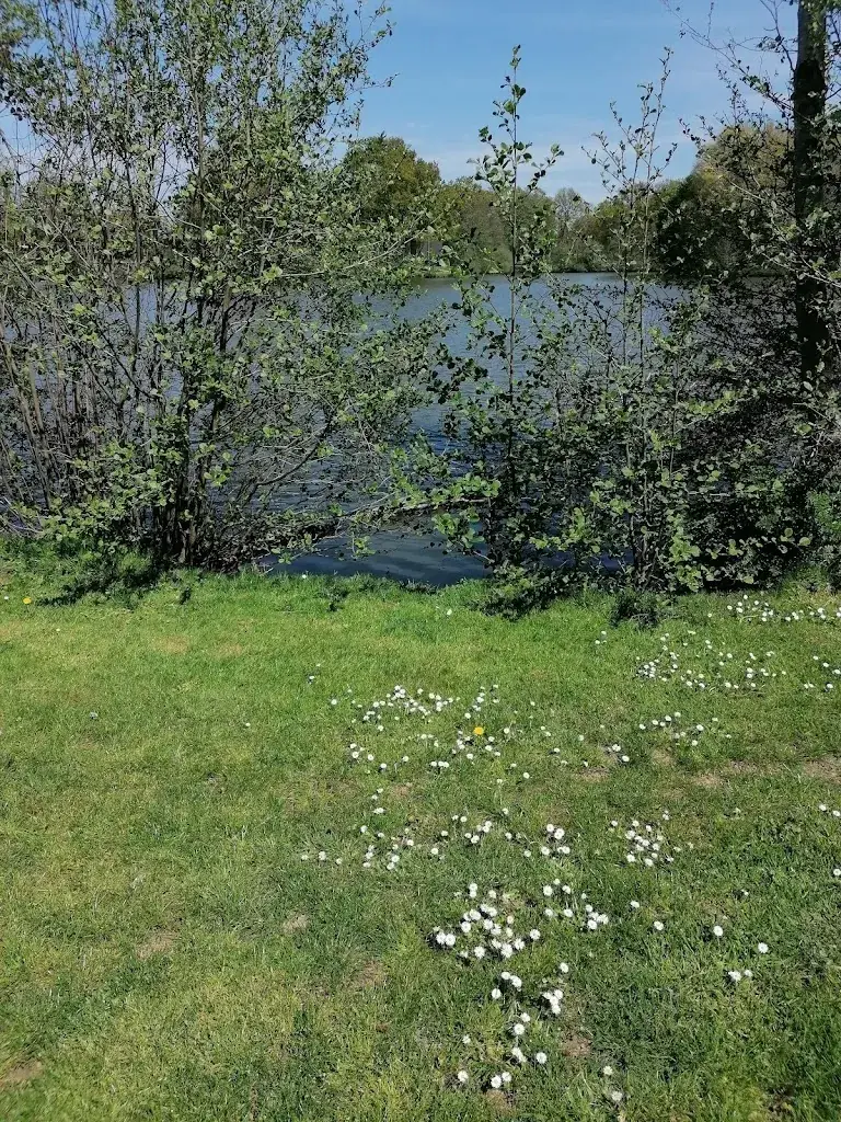 Le Mûrier_Craon_slider_image_2