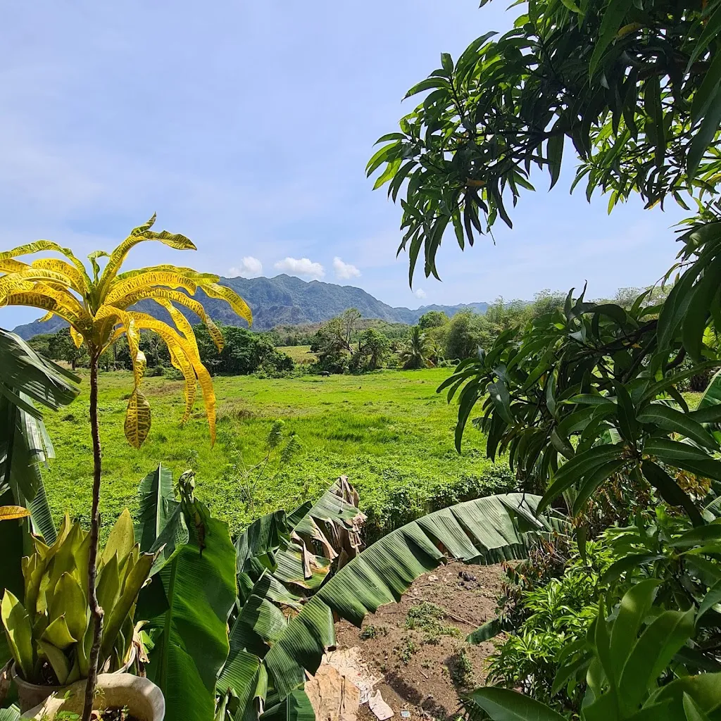 antongrabar_KinaJohn Bar and Restaurant_Philippines_reseña