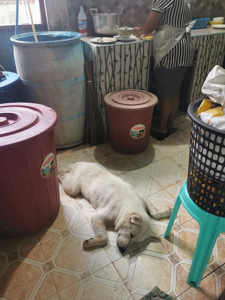 Thomas Luyten_AVILES BULALOHAN_Philippines_review