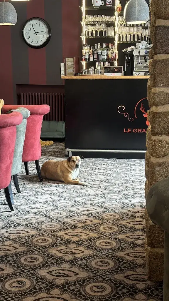 Strawberry Fields_Logis Hôtel du Grand Cerf_Ernée_review