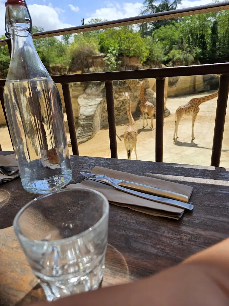 Menu_Le Camp Des Girafes_Doué-en-Anjou_image_9