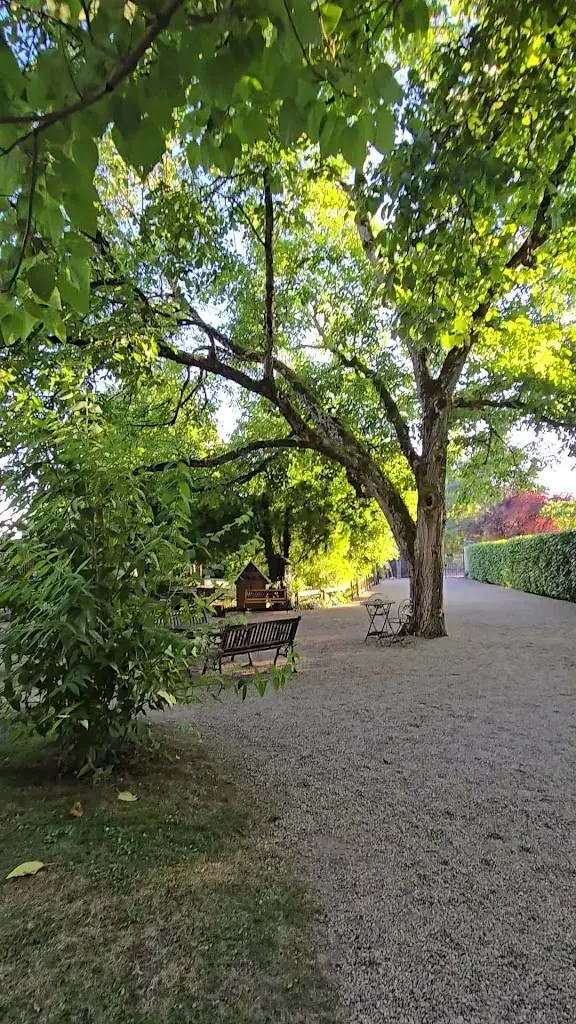 zari sassine_Les Caves de Marson_Rou-Marson_review