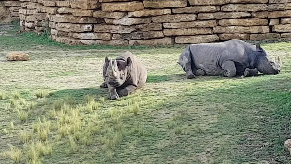 Bioparc de Doué-la-Fontaine_Doué-en-Anjou_slider_image_2