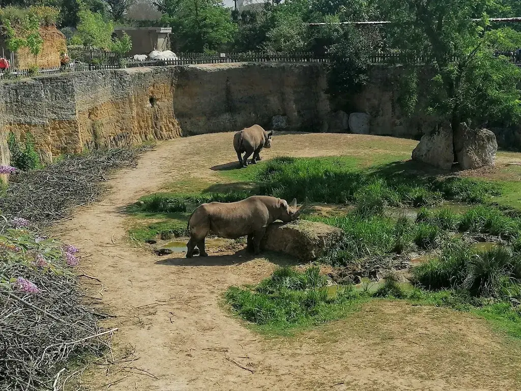 Bioparc de Doué-la-Fontaine_Doué-en-Anjou_slider_image_3