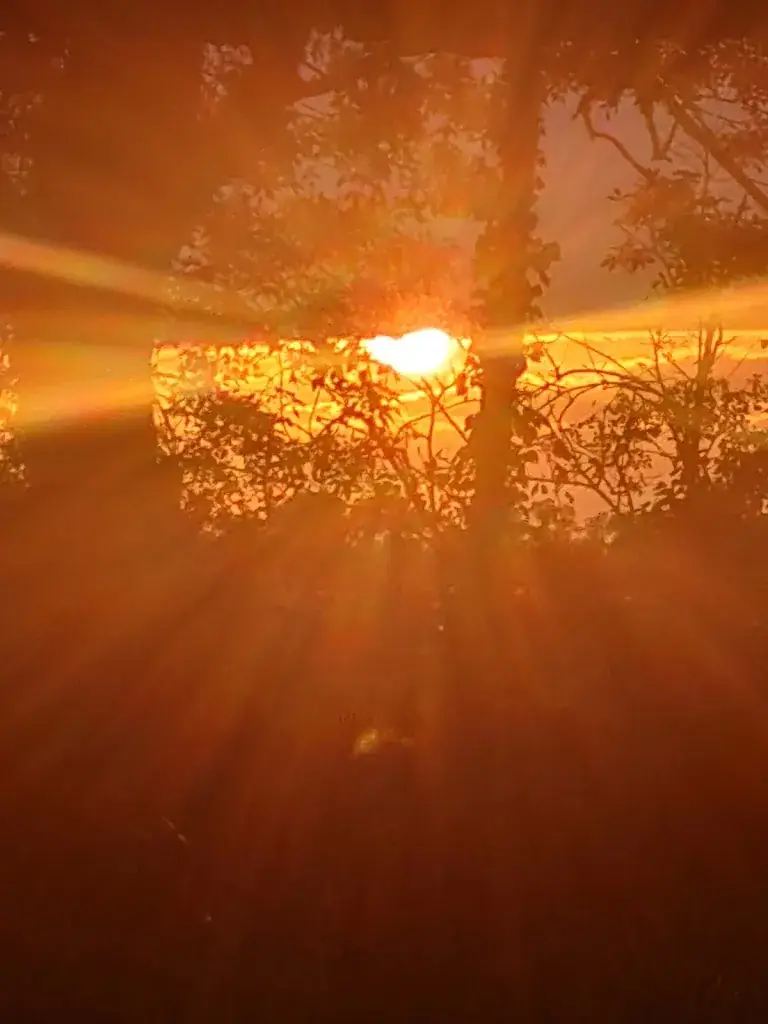 Les Verchers-sur-Layon_Doué-en-Anjou_slider_image_2