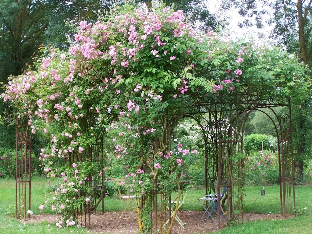 Rose Garden - Roads to Rose_Fontaine_slider_image_1