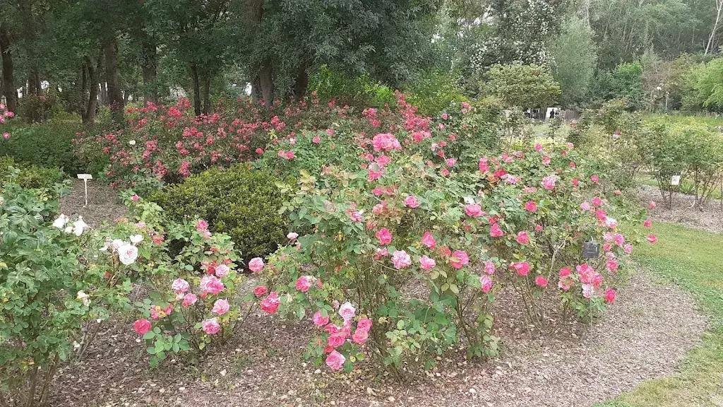 Rose Garden - Roads to Rose_Fontaine_slider_image_3