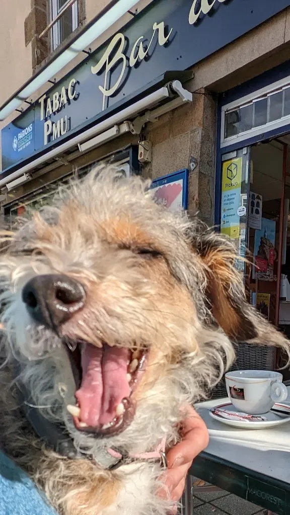 Gasgas_Bar des Sports_Gorron_review