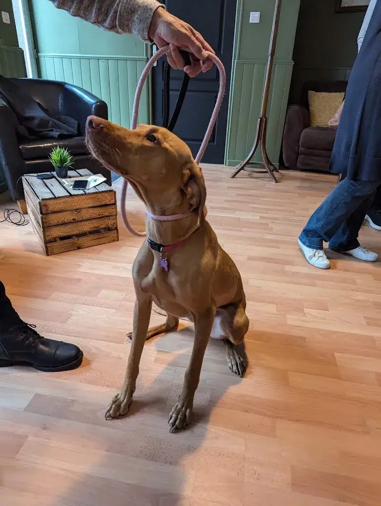 Café Corbeau_Gorron_slider_image_3