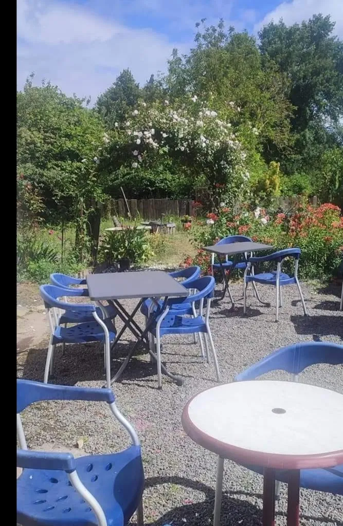 Soizick Rouchausse_L'1 Dédée Niable_Guémené-Penfao_review