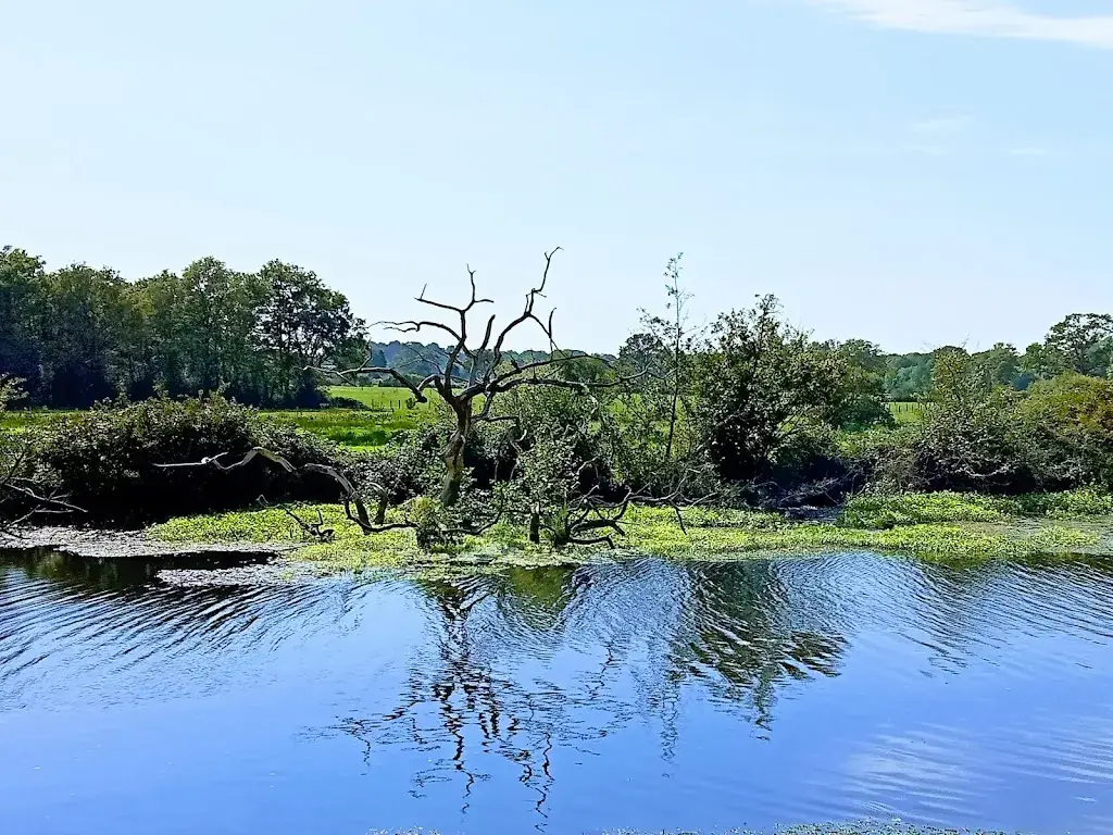 DrFl4ke_Les Touche-à-tout_Guenrouet_review