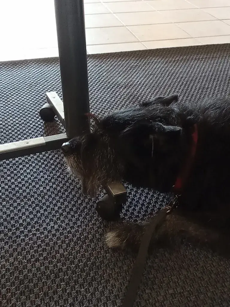 Appel Le Jardinier_LES 3 FRANGINS_Javron-les-Chapelles_review