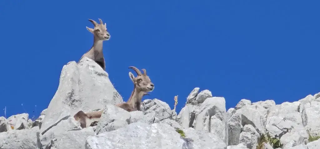 Jeremy Winter_Les Jumelles_Vouvry_review