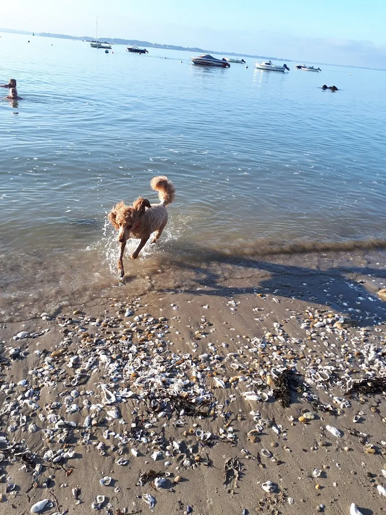 Le Lagon Bleu_Parcé-sur-Sarthe_slider_image_1