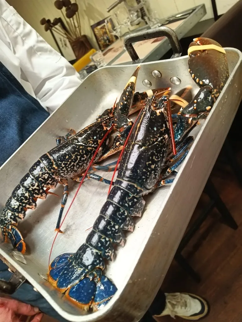 Claudia_Maison Löic_Baule-Escoublac_review