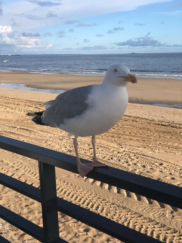 Emi Aldea_Barbade Beach_Baule-Escoublac_review
