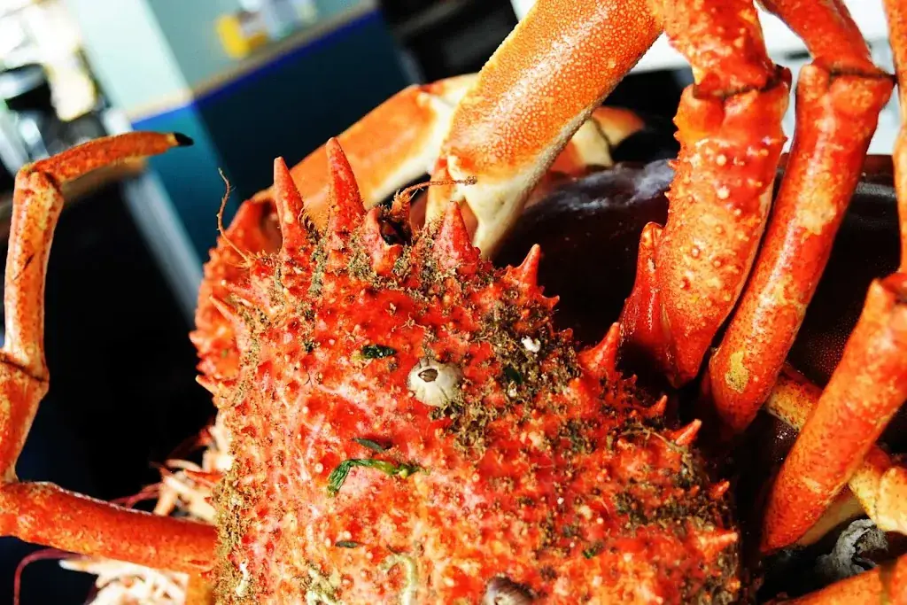 Menu_Le Café des Ecailles_Baule-Escoublac_image_7