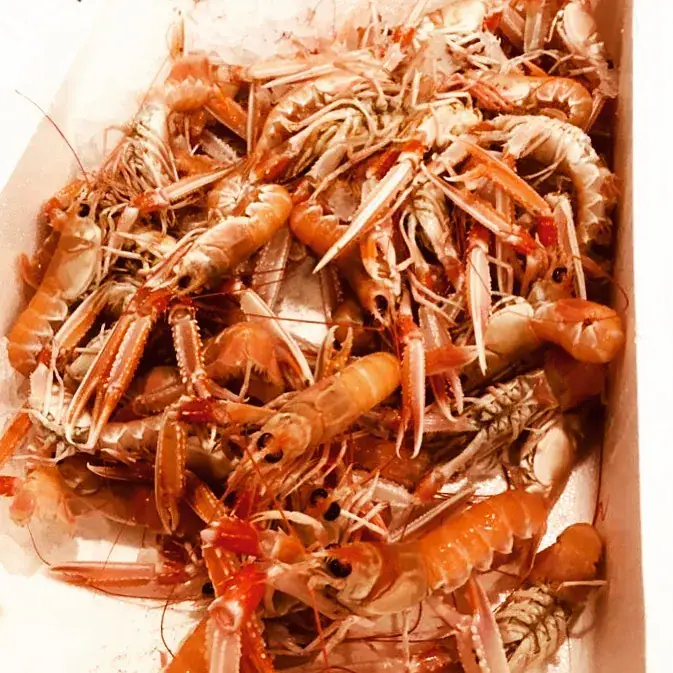 Le Café des Ecailles_Baule-Escoublac_slider_image_3