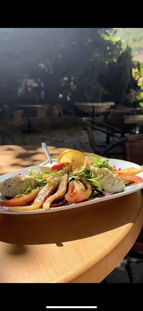 Menu_Hôtel restaurant Costes_Montségur_image_7