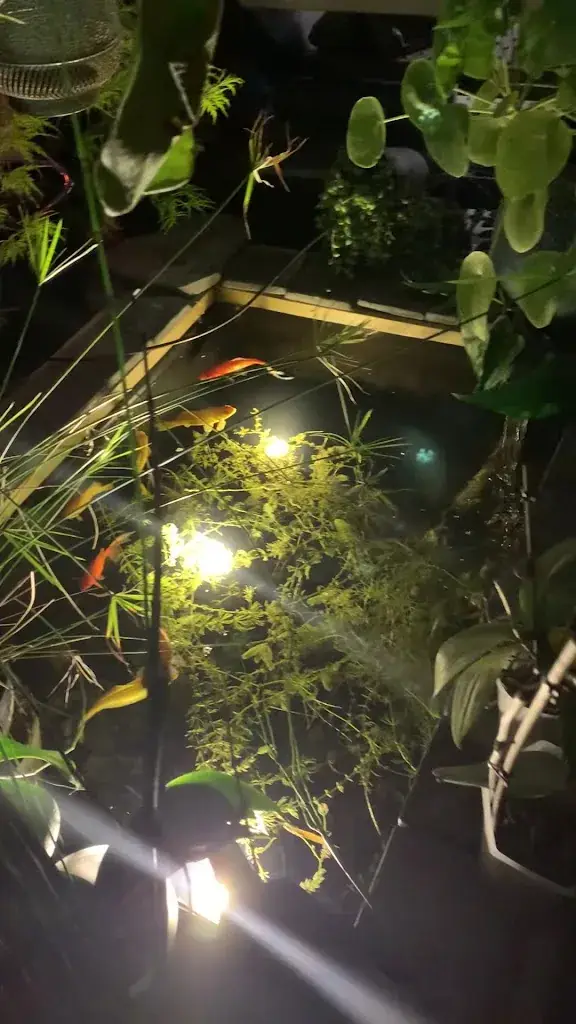 James Ga_Restaurant Le Bouquet Garni_Chapelle-sur-Erdre_Bewertung