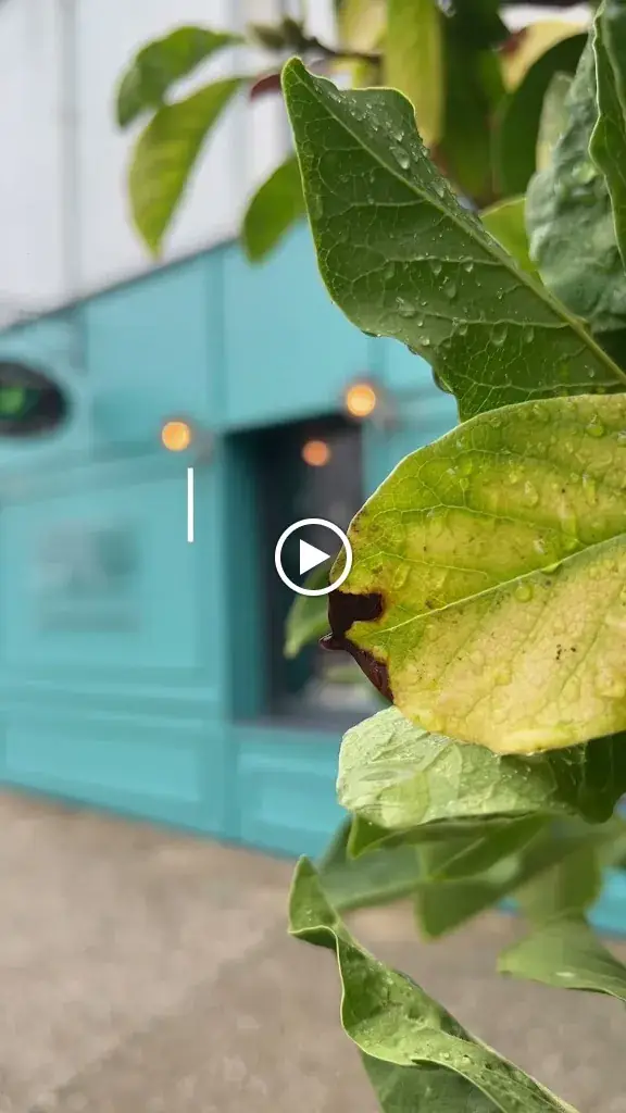 Restaurant Le Bouquet Garni_Chapelle-sur-Erdre_slider_image_2