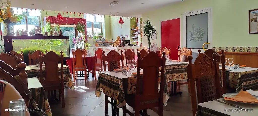 Sylvain Guilbert_Fleur de Lotus_Ferté-Bernard_review