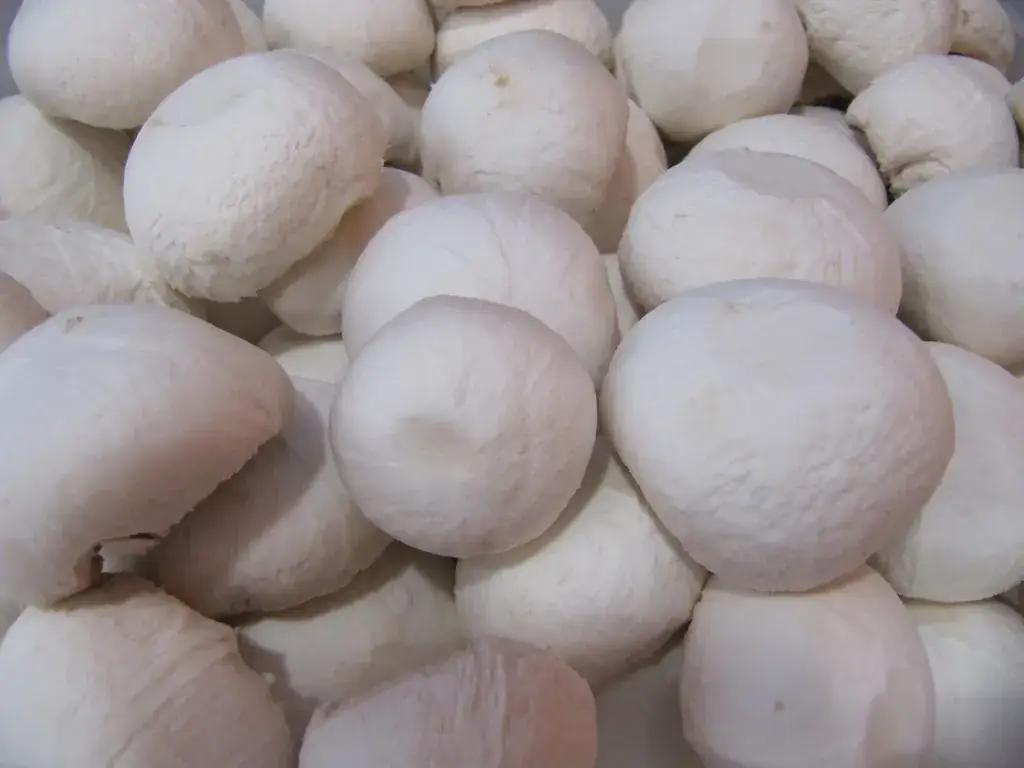 Menü_Casa Di Pizza_Garnache_Bild_5