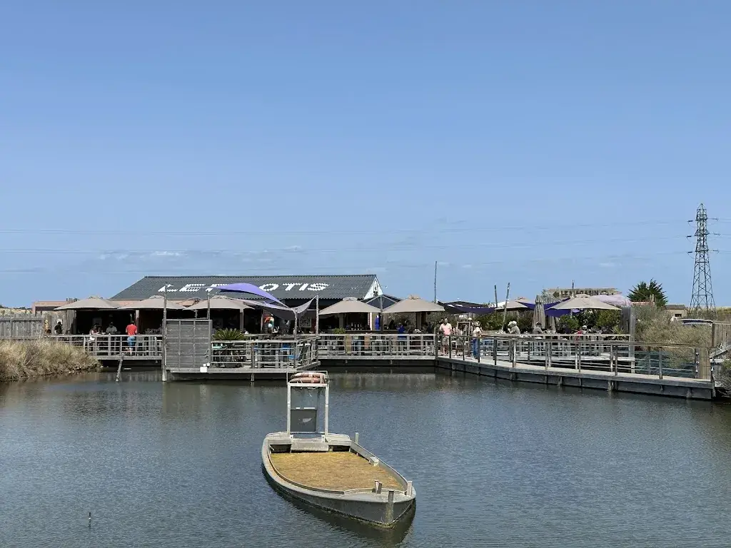 Vincent GARREAU_Le Pilotis_Guérinière_review