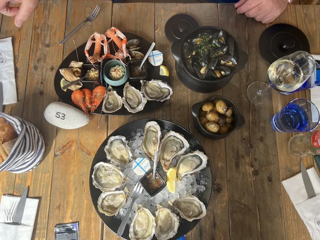 Karola Zakrzewska_Le Pilotis_Guérinière_review