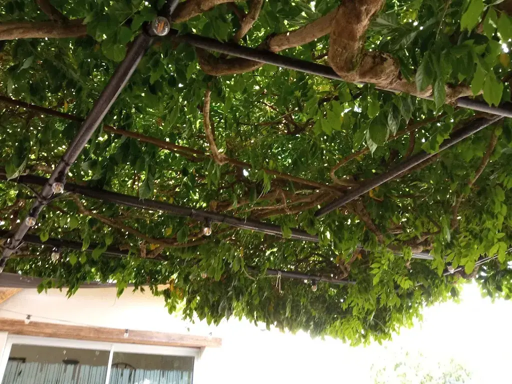 poirier catherine_L'Atelier_Ménitré_avis