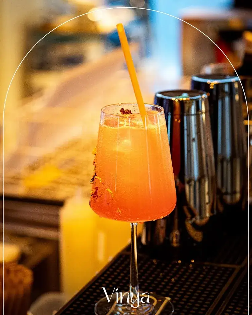 VINYA_Vallet_slider_image_3