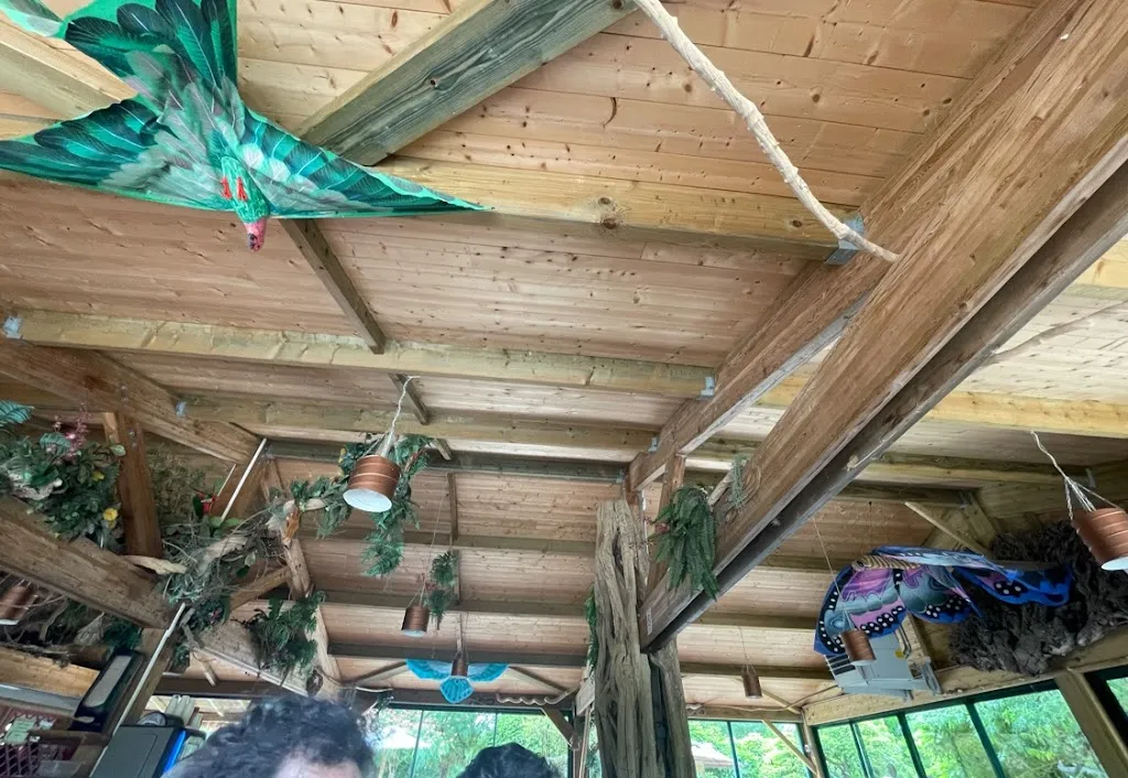 Yoann Oupas_La Case des Chimpanzés_Romagne_review