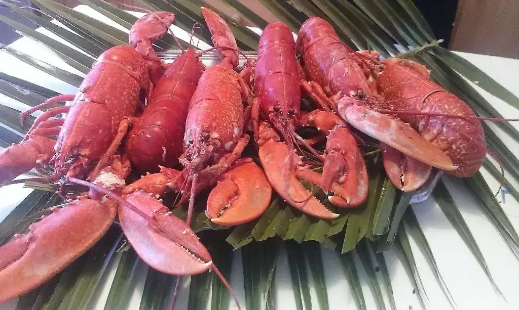 La Guinguette de la Plaine_Plaine-sur-Mer_slider_image_3