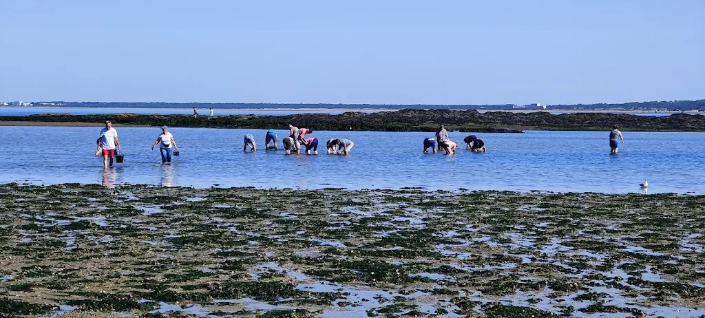 Lester Freeman_le rayon de soleil_Plaine-sur-Mer_review