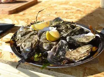 La cabane Huîtres&Co_Préfailles_slider_image_2