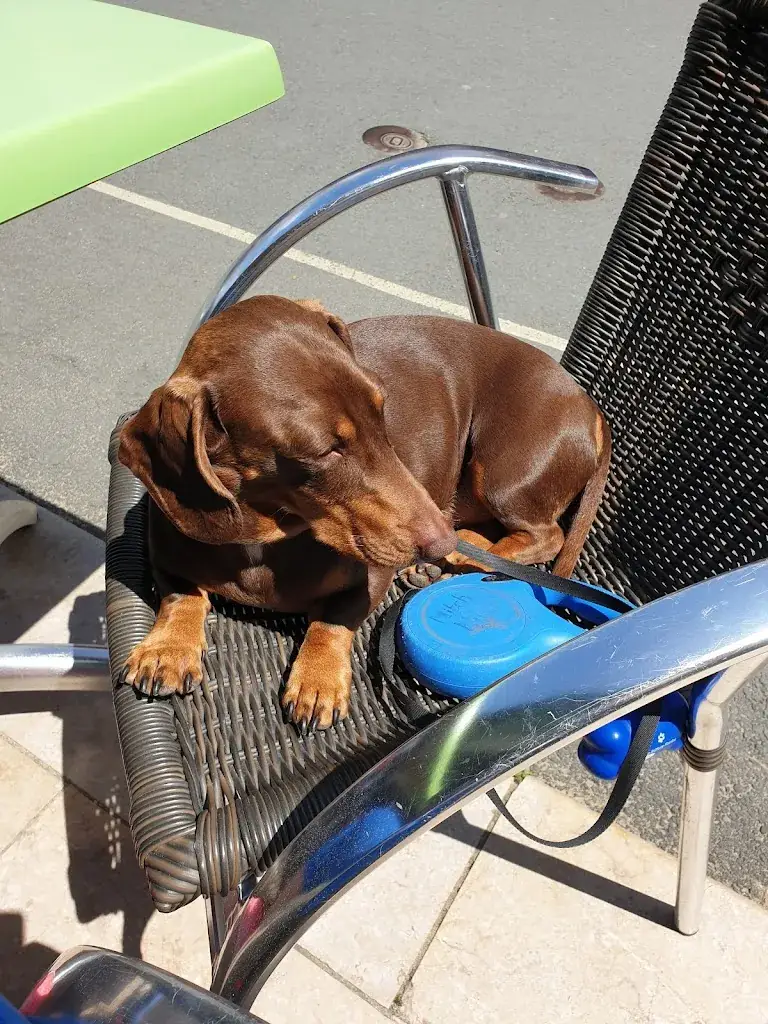 Jackie Miller_La Sierra Torride_Tranche-sur-Mer_review