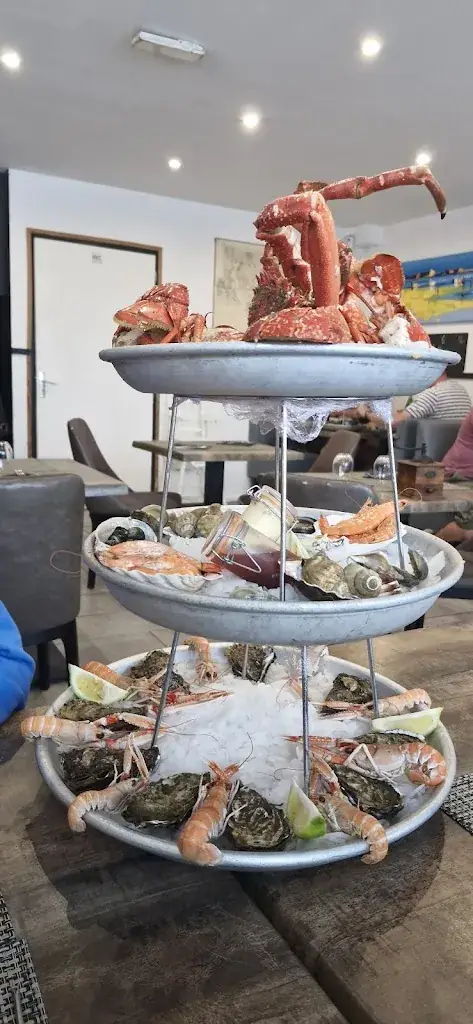 Sandy Brun_O'21_Turballe_review